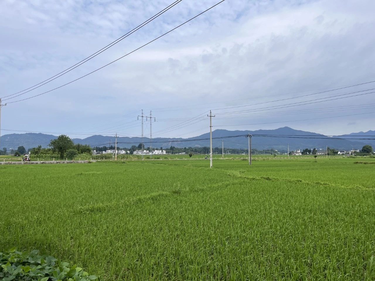 “屏”水相逢 约“绘”皖南 | 西安博雅艺术职业高中赴皖南“研学写生”之旅（一）