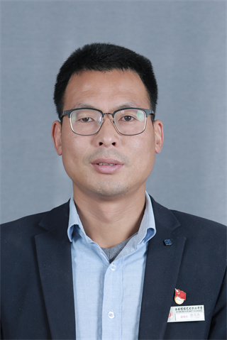 组织结构