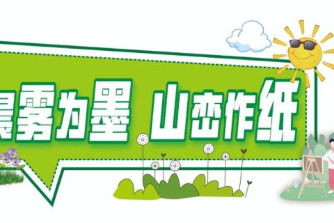 【寻色秦岭·艺文共生】​——写生日记：在鲍旗寨的晨雾暮霭中捕捉乡土美学基因