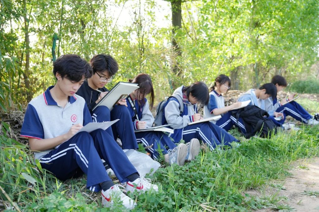 【寻色秦岭·艺文共生】​——写生日记：在鲍旗寨的晨雾暮霭中捕捉乡土美学基因