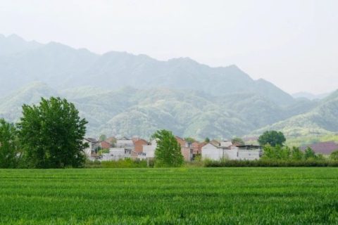【美育留痕·乡野回响】——收官：四天的秦岭写生之旅，绘就青春与艺术的共生答卷