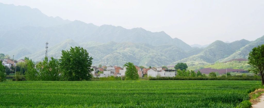 【美育留痕·乡野回响】——收官：四天的秦岭写生之旅，绘就青春与艺术的共生答卷