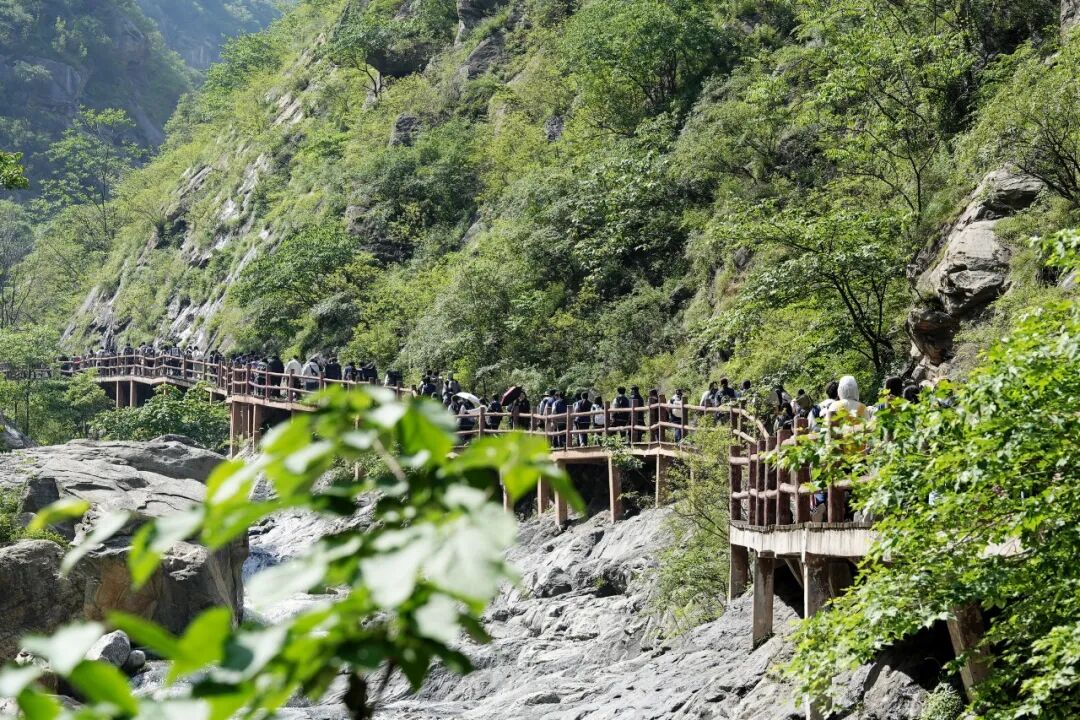 【云开雾散见真章,笔底华山渐峥嵘】写生日记:仙峪篇