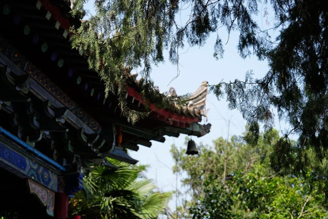 【山河为卷,笔墨生辉】收官:西安博雅艺术职业高中华阴写生之旅交出青春答卷
