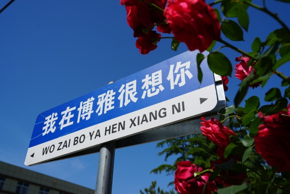 西安博雅艺术职业高中校园环境